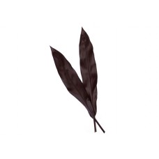 Cordyline Leaves - Black Ti